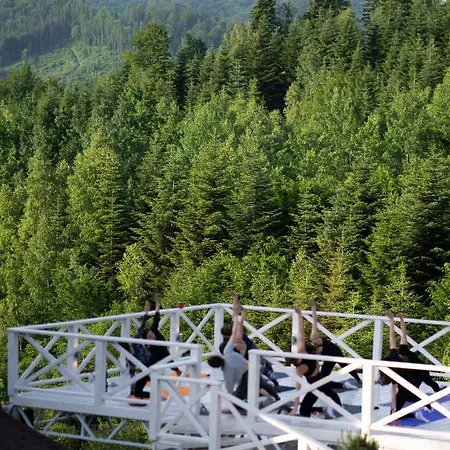 Karpaty