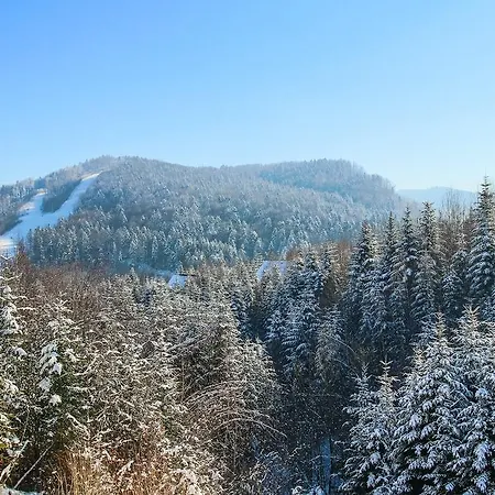 карпаты Отель