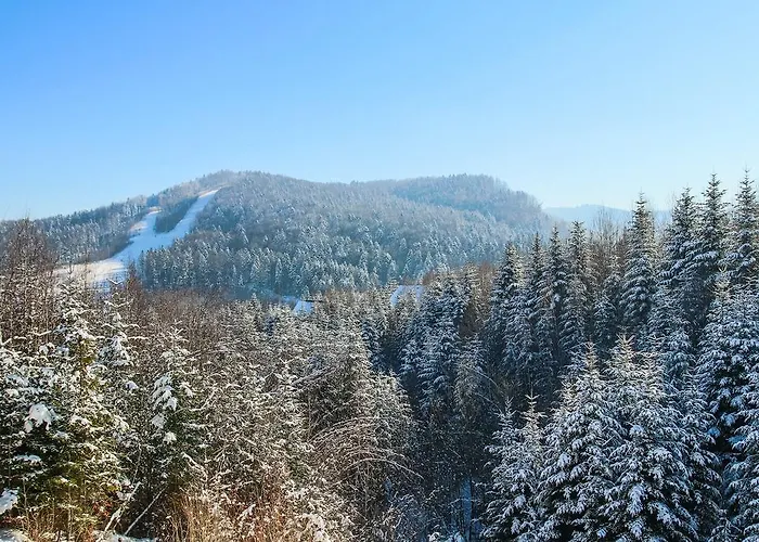 Karpaty Otel